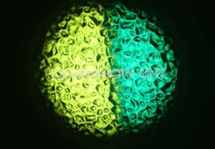 圖片,海量精選高清圖片庫 東莞市領秀光電科技有限責任公司