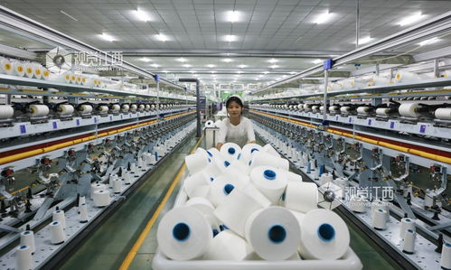 江西瑞昌 數字工廠產銷旺